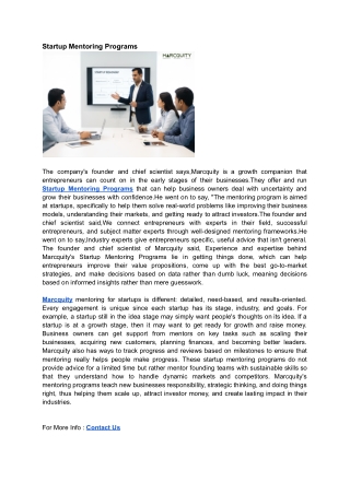 Startup Mentoring Programs