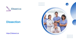 Dissection - idissect.ca
