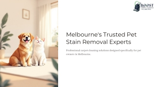 Melbournes-Trusted-Pet-Stain-Removal-Experts