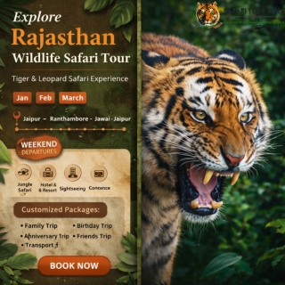 Rajasthan Ranthambore Safari