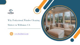 Why Professional Window Cleaning Matters in Wildomar CA