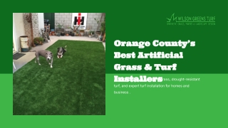 Artificial grass orange county