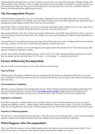 How Long Does Wood Take To Decompose—What To Expect In Your Yard!