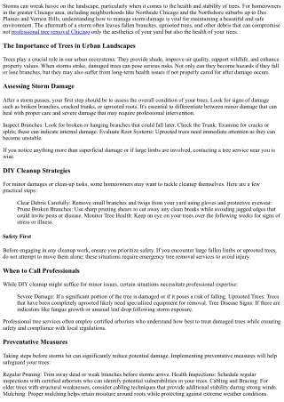 storm-damage-cleanup-how-to-protect-your-trees-after-a-storm