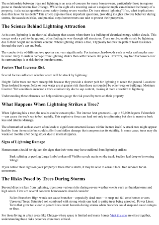 Do Trees Attract Lightning? Understanding the Risks for Chicago Residents