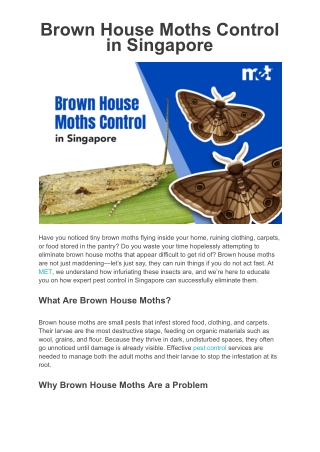 Brown House Moths Control in Singapore