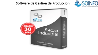 Software de Gestion de Produccion