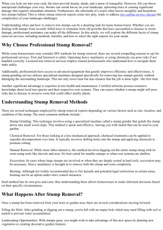 Stump Removal Experts Ready to Tackle Your Landscape Challenges!