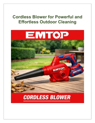 Best Cordless Blower for Outdoor Maintenance