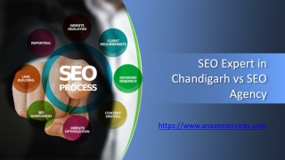 SEO Expert in Chandigarh vs SEO Agency - www.anaseoservices.com