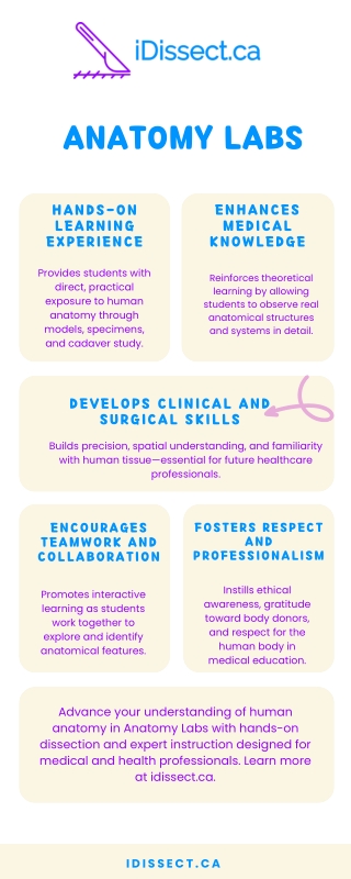 Anatomy Labs - idissect.ca