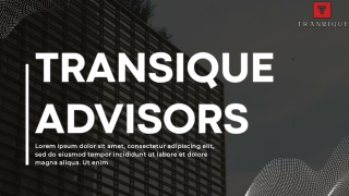 TRANSIQUE ADVISORS