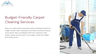 Budget-Friendly Carpet Cleaning Services