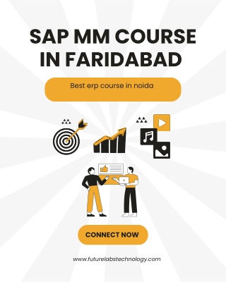 sap mm course in faridabad best sap course in delhi