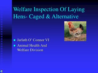 Welfare of Laying Hens