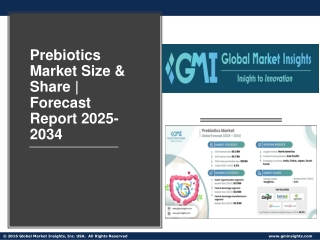 Prebiotics Market Size & Share | Forecast Report 2025-2034