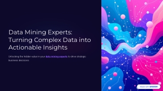 Data Mining Experts: Turning Complex Data into Actionable Insights