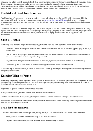 Dealing with Dead Tree Branches: Safety First!