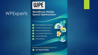 Wordpress Mobile Speed Optimization.