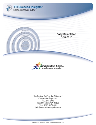 TTI Success Insights Sales Strategy Index