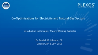 Co-Optimizations for Electricity and Natural Gas Sectors
