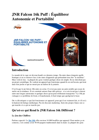 JNR Falcon 16k Puff  Équilibrer Autonomie et Portabilité