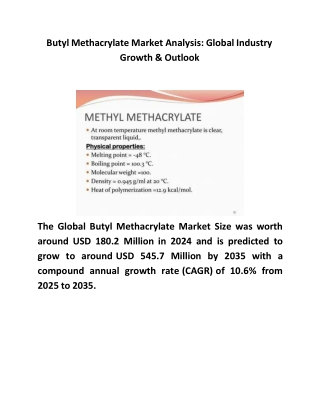 Butyl Methacrylate Market Analysis Global Industry Growth & Outlook