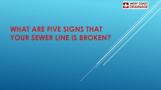 What Are Five Signs That Your Sewer Line Is Broken