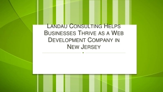 Landau Consulting Helps Businesses Thrive as a Web Development Company in New Jersey