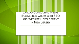 Landau Consulting Helps Businesses Grow with SEO and Website Development in New Jersey