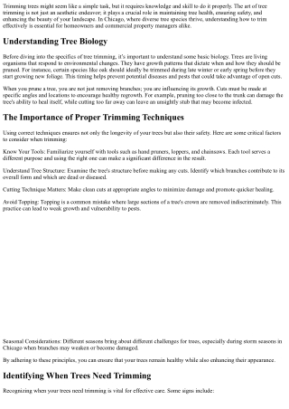 Trimming Trees the Right Way—Tips from Local Experts in Chicago!