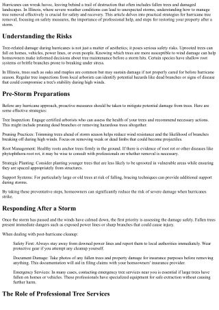 Hurricane Tree Removal Strategies for Safety and Recovery in Illinois!