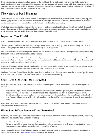 Do Dead Branches Hurt a Tree? Expert Insights from Arborists