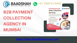 Baadshah Recovery - B2b Payment Collection Agency in Mumbai