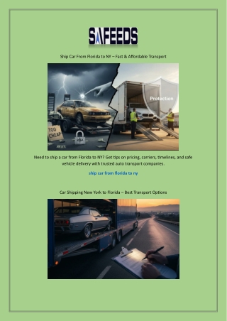 car shipping new york to florida