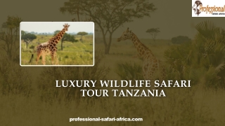 Luxury Wildlife Safari Tour Tanzania