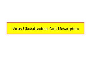 Virus Classification And Description