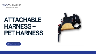 Attachable Harness – Pet Harness