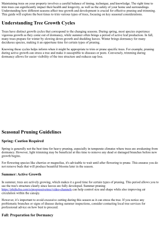 When is the Best Time to Trim Trees? A Seasonal Guide