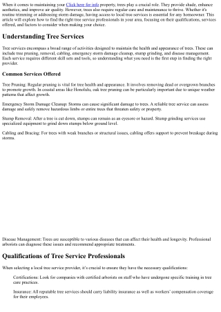 Local Tree Services: Finding the Right Help in Your Area