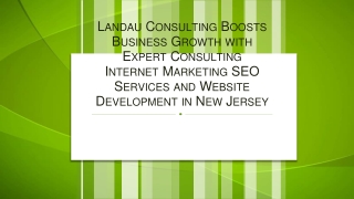 Landau Consulting Boosts Business Growth with Expert Consulting Internet Marketing