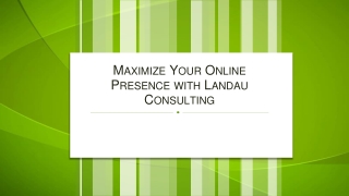 Maximize Your Online Presence with Landau Consulting