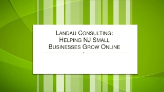 Landau Consulting Helping NJ Small Businesses Grow Online