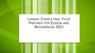 Landau Consulting Your Partner for Edison and Woodbridge SEO
