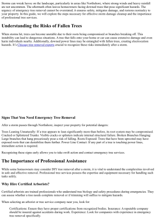 Quick Guide to Emergency Tree Removal After a Storm in Northshore