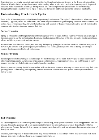 When is the Best Time to Trim Trees in the Midwest? Seasonal Guidelines Explaine