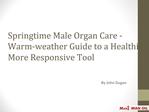 Springtime Male Organ Care - Warm-weather Guide