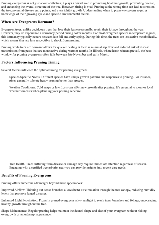 The Optimal Timing for Pruning Evergreens for Healthier Growth.