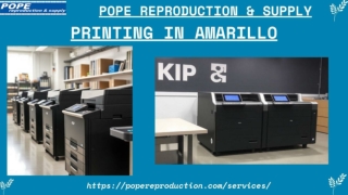 Should You Miss Out From The Best KIP Large From Pope Reproduction & Supply
