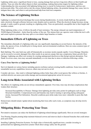 Lightning Hitting a Tree: Understanding the Risks and Prevention.